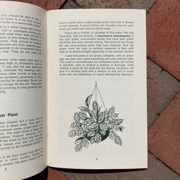 1973 Gardening with Hanging Baskets Rex E. Mabe Vintage Gardening Book Gift Idea - Picture 3 of 12